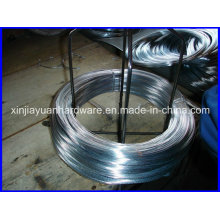 Hot DIP Galvanized Iron Wire /Electro Galvanized Iron Wire